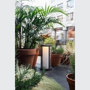 ION gallery detail image