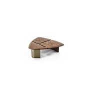 Kauri Delta Coffee Table gallery detail image