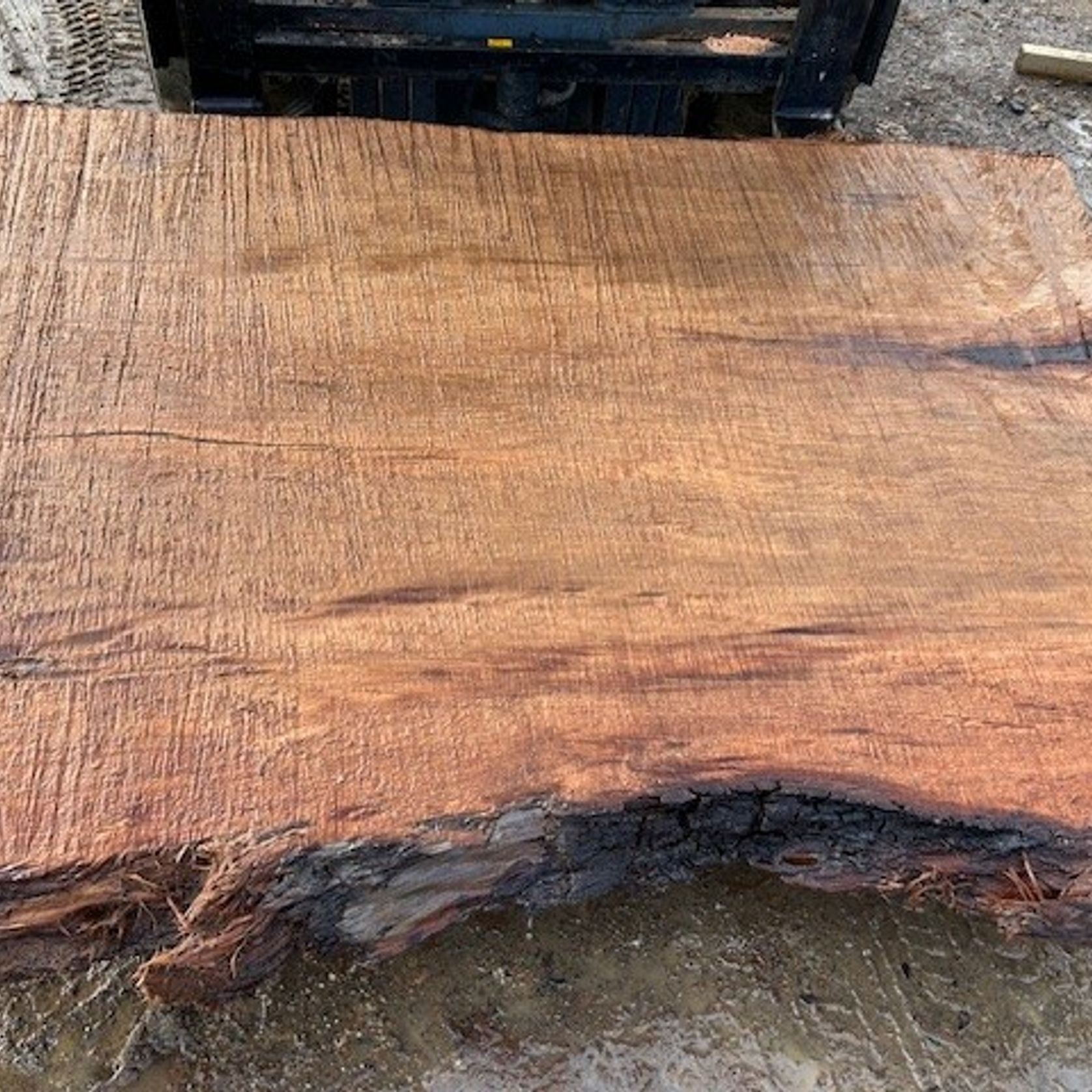 Swamp Kauri Slabs gallery detail image