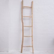 Lutalo Ladder gallery detail image