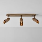 Spot Pro Triple Ceiling Light gallery detail image