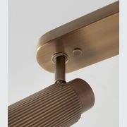 Spot Pro Triple Ceiling Light gallery detail image