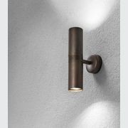 Girasoli Double Wall Light gallery detail image