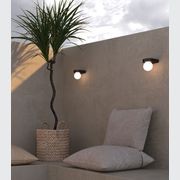 Orb Ledge Wall Light gallery detail image