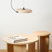 Mood Pendant Light gallery detail image