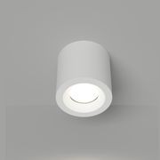 Lumina Ceiling Light gallery detail image