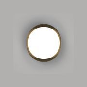 Bode Round Wall/Ceiling Light gallery detail image