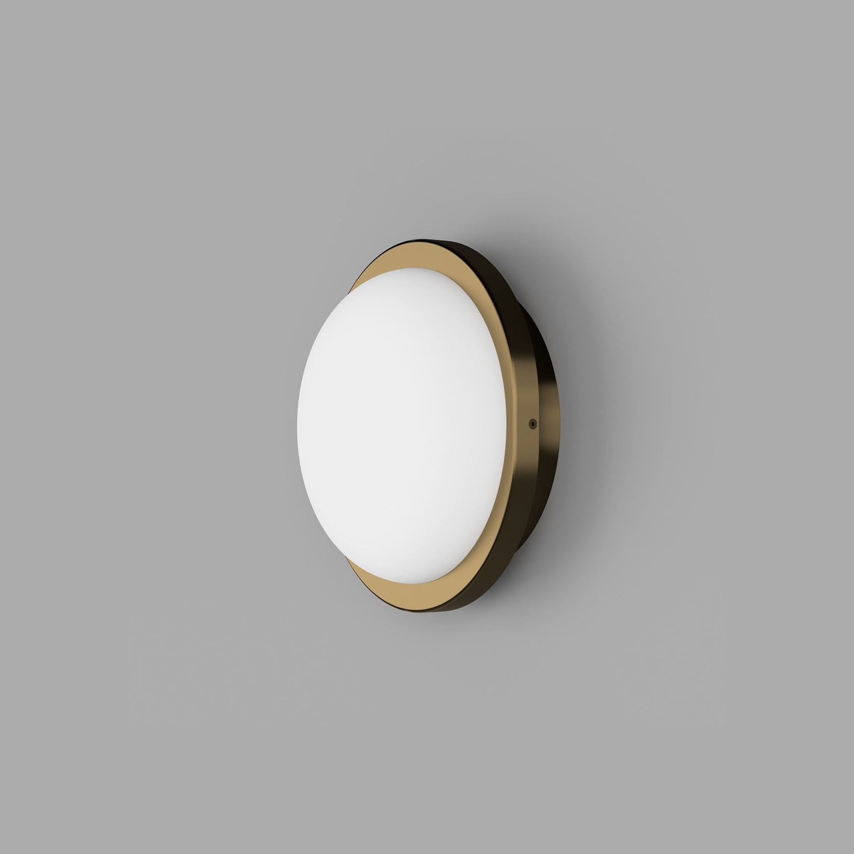 Bode Round Wall/Ceiling Light gallery detail image