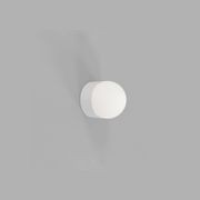 Orb Sur Mini Wall Light gallery detail image