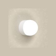 Orb Sur Mini Wall Light gallery detail image