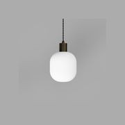 Parlour Curve Pendant Light gallery detail image