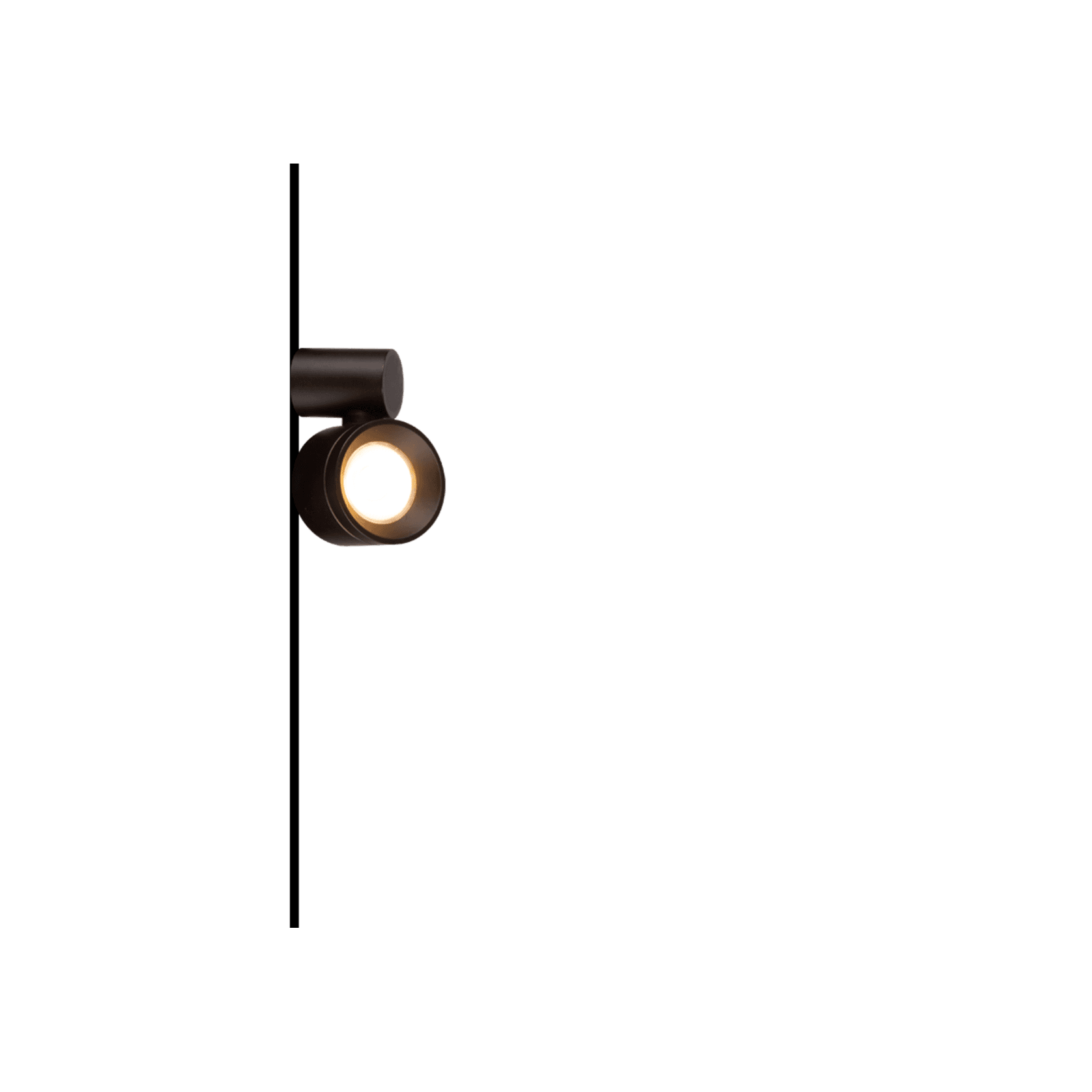 Lotus-35 gallery detail image