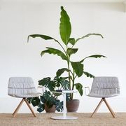 Maarten Lounge Chair - Wooden Swivel Base & Soft Upholstery gallery detail image