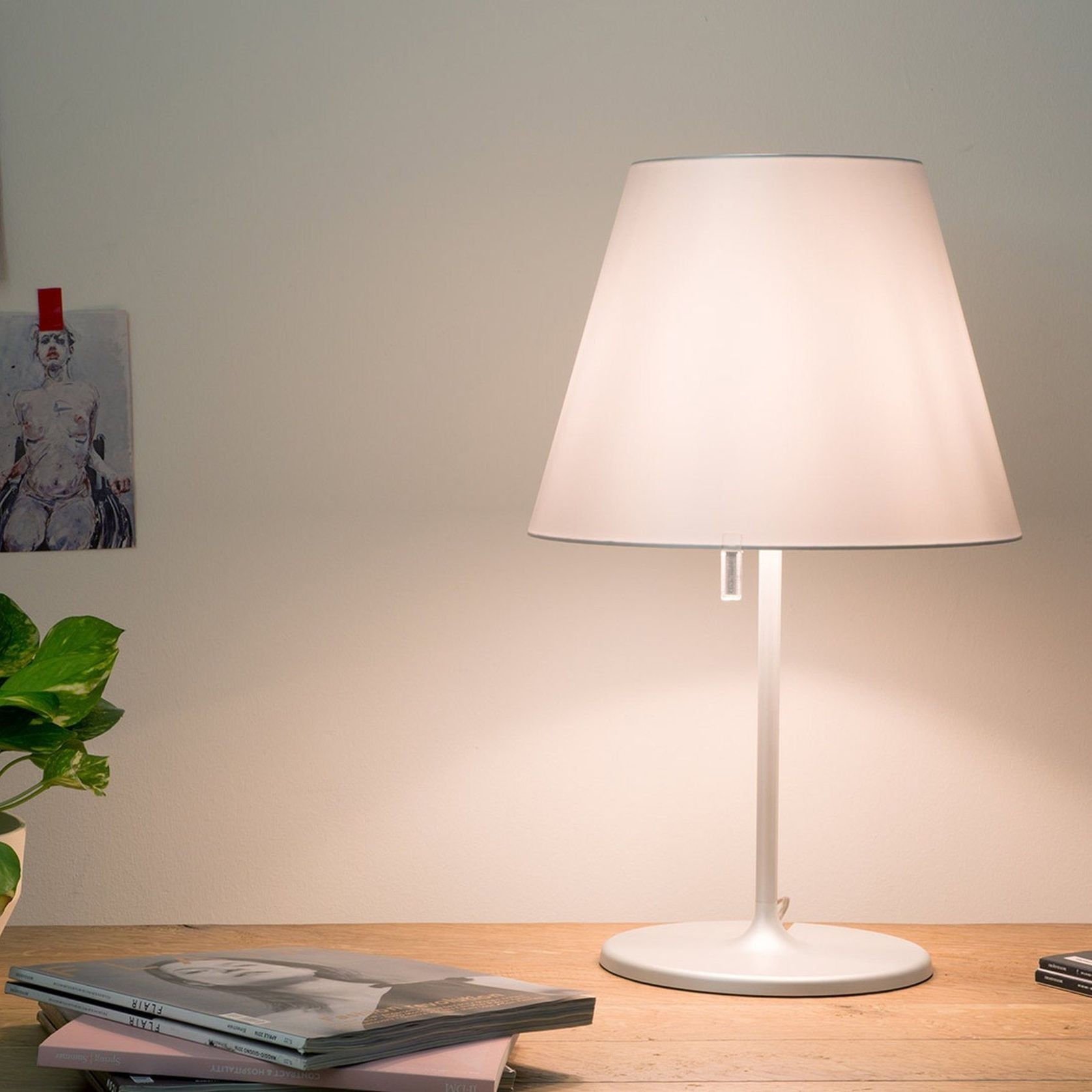 Melampo T gallery detail image