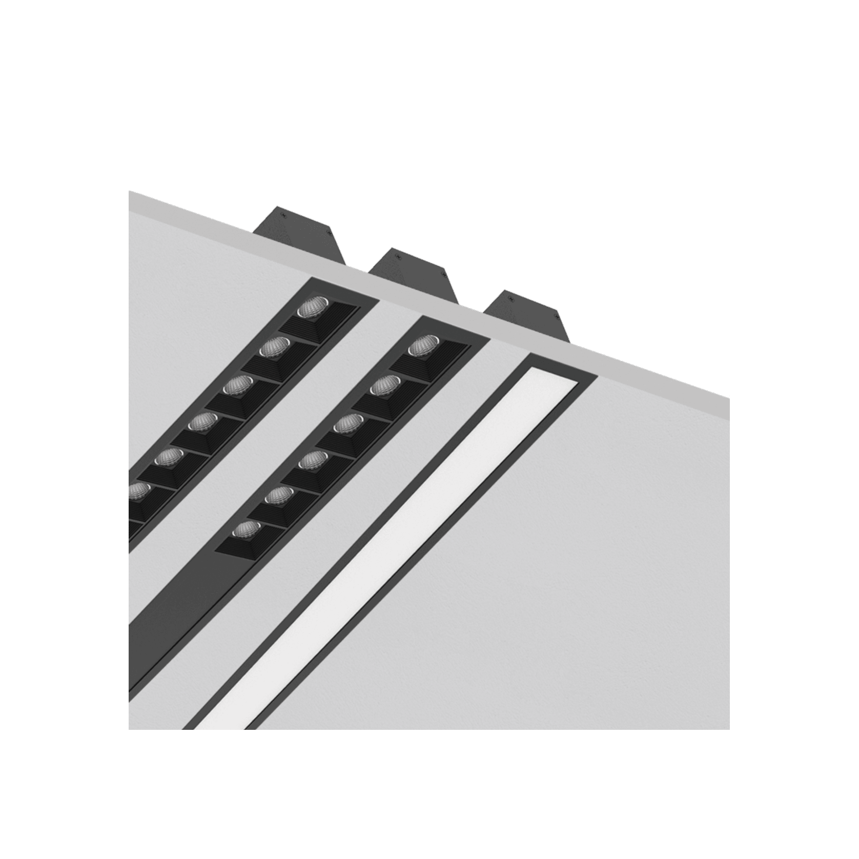 Morph-30-REC gallery detail image