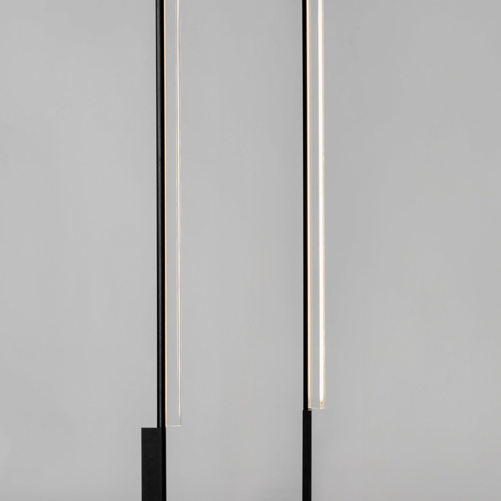 Napier gallery detail image