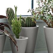 New Pot gallery detail image