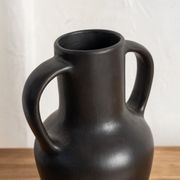 Neysa Curved Vase with Handles gallery detail image