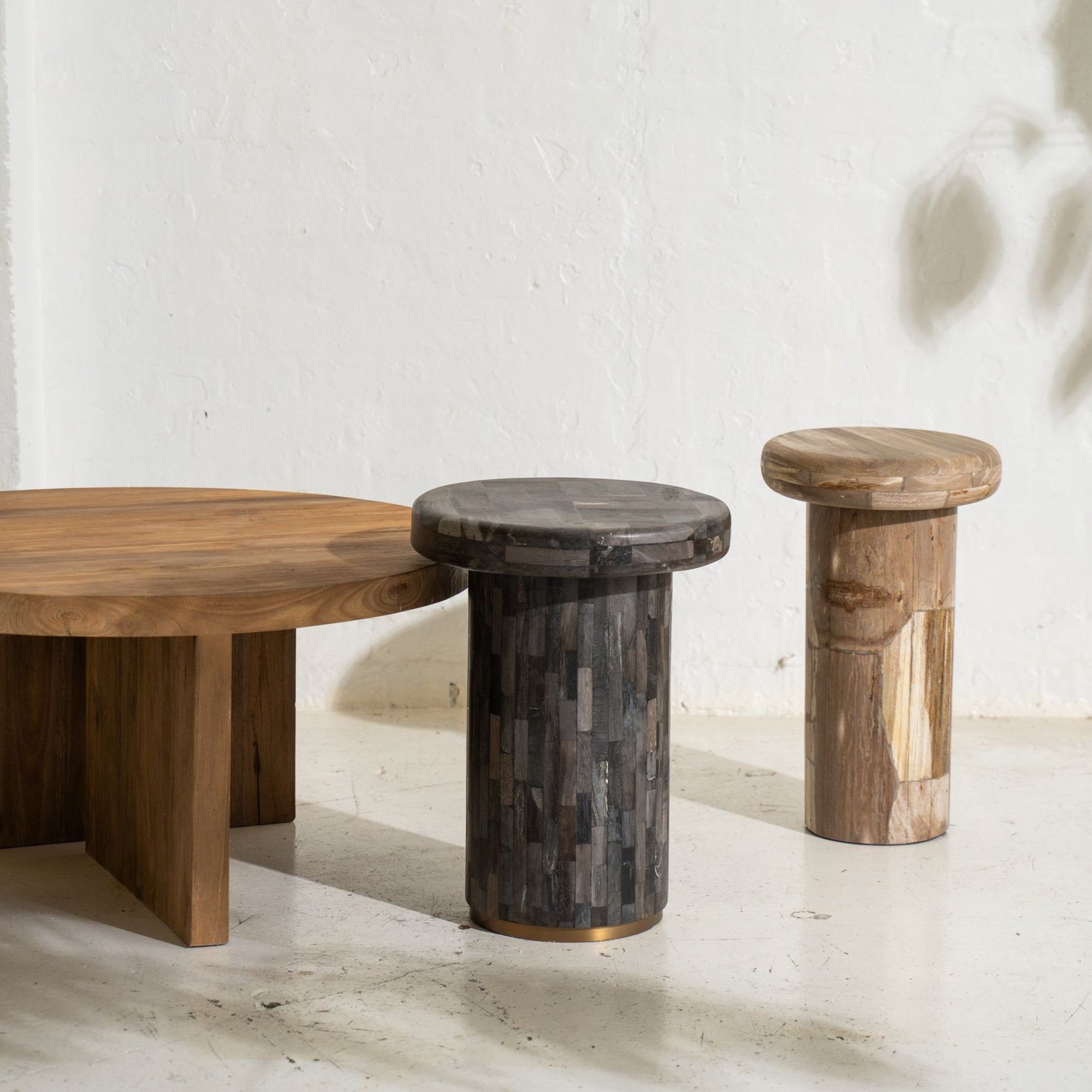 Ona Petrified Wood Side Table gallery detail image