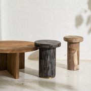 Ona Petrified Wood Side Table gallery detail image