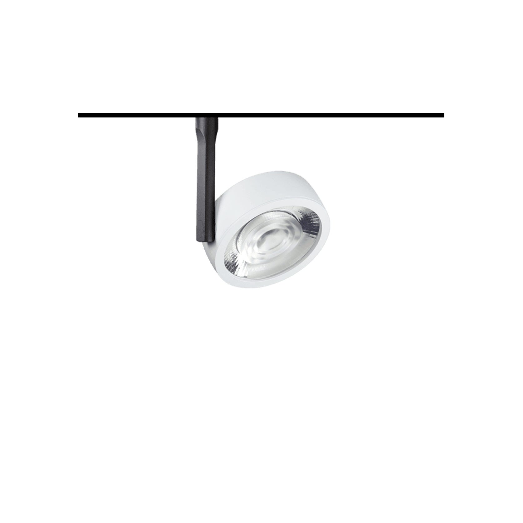 Orb-48-TR100 gallery detail image