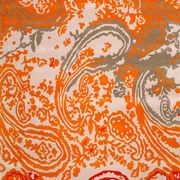 Persian Carrot Orange gallery detail image