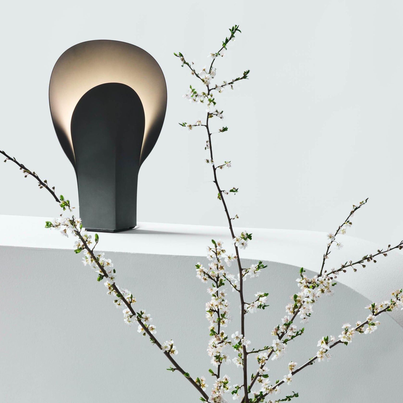 Plume gallery detail image