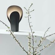 Plume gallery detail image