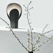 Plume gallery detail image