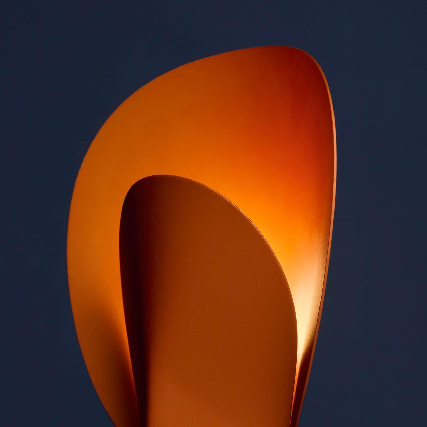 Plume gallery detail image