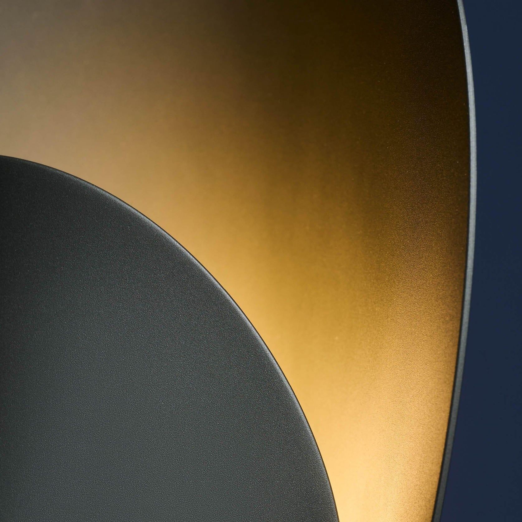 Plume gallery detail image