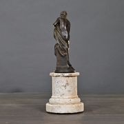 Bathing Venus gallery detail image