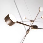 Ramus gallery detail image