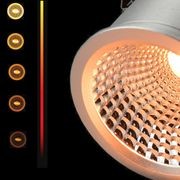 Sunset Dimming Downlight gallery detail image