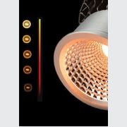 Sunset Dimming Downlight gallery detail image