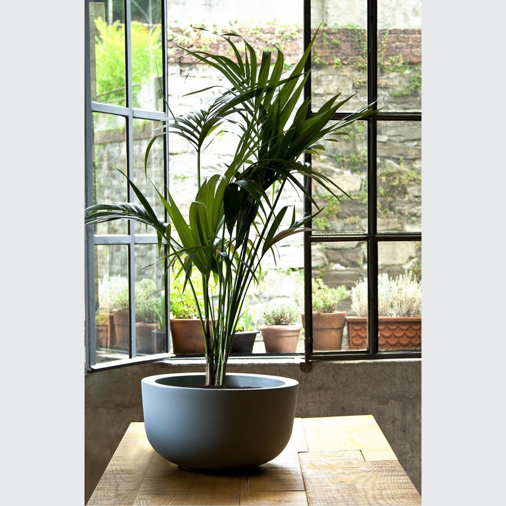 Cup gallery detail image