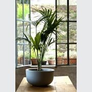 Cup gallery detail image