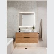 Euro 900 Rectangle LED Mirror gallery detail image