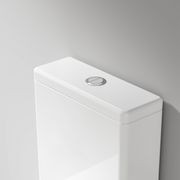 Universal Coloured Toilet Flush Button | 50Ø mm gallery detail image