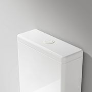 Universal Coloured Toilet Flush Button | 50Ø mm gallery detail image