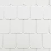 Shingles Plus Smooth gallery detail image