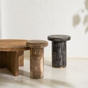 Sia Petrified Wood Side Table gallery detail image