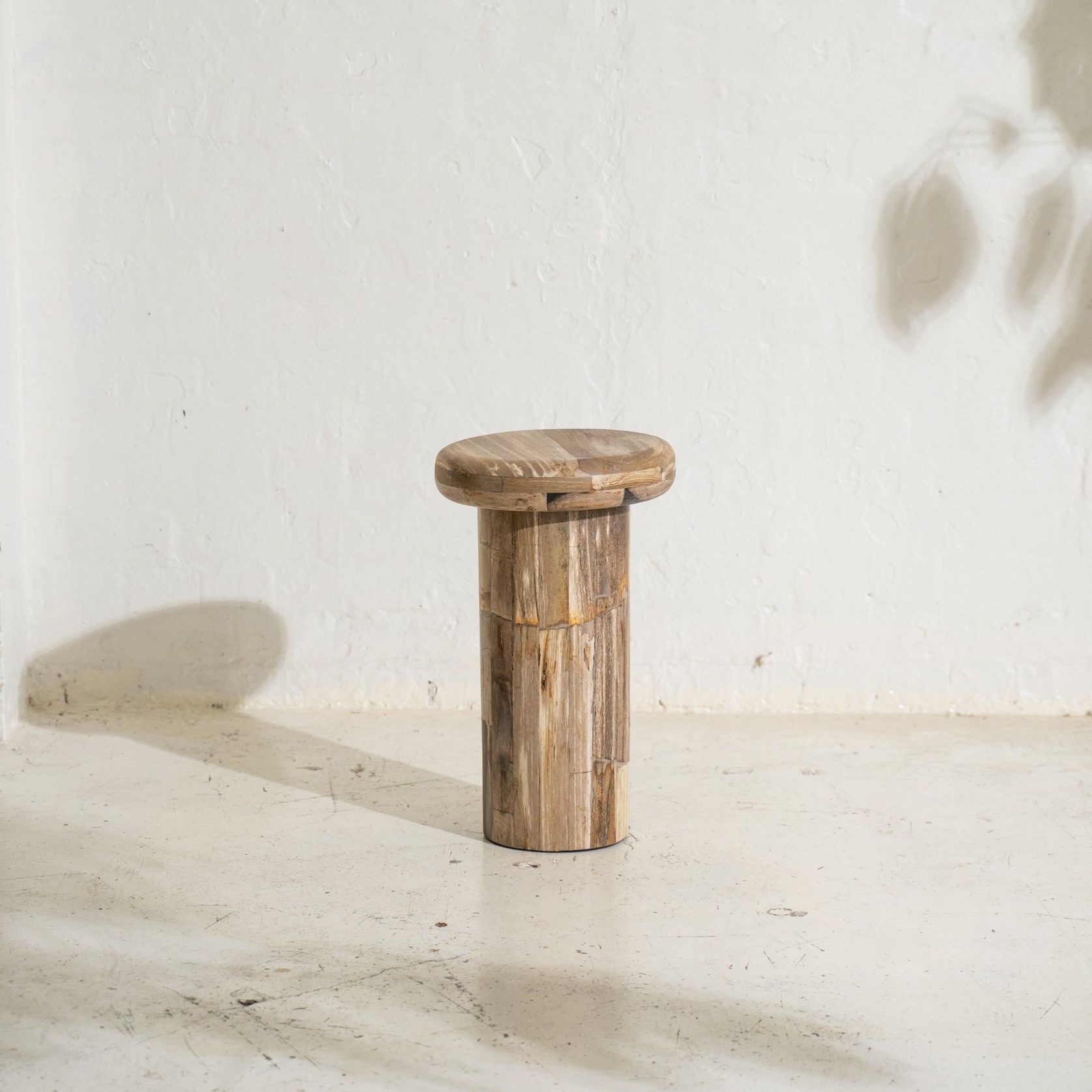 Sia Petrified Wood Side Table gallery detail image