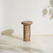 Sia Petrified Wood Side Table gallery detail image