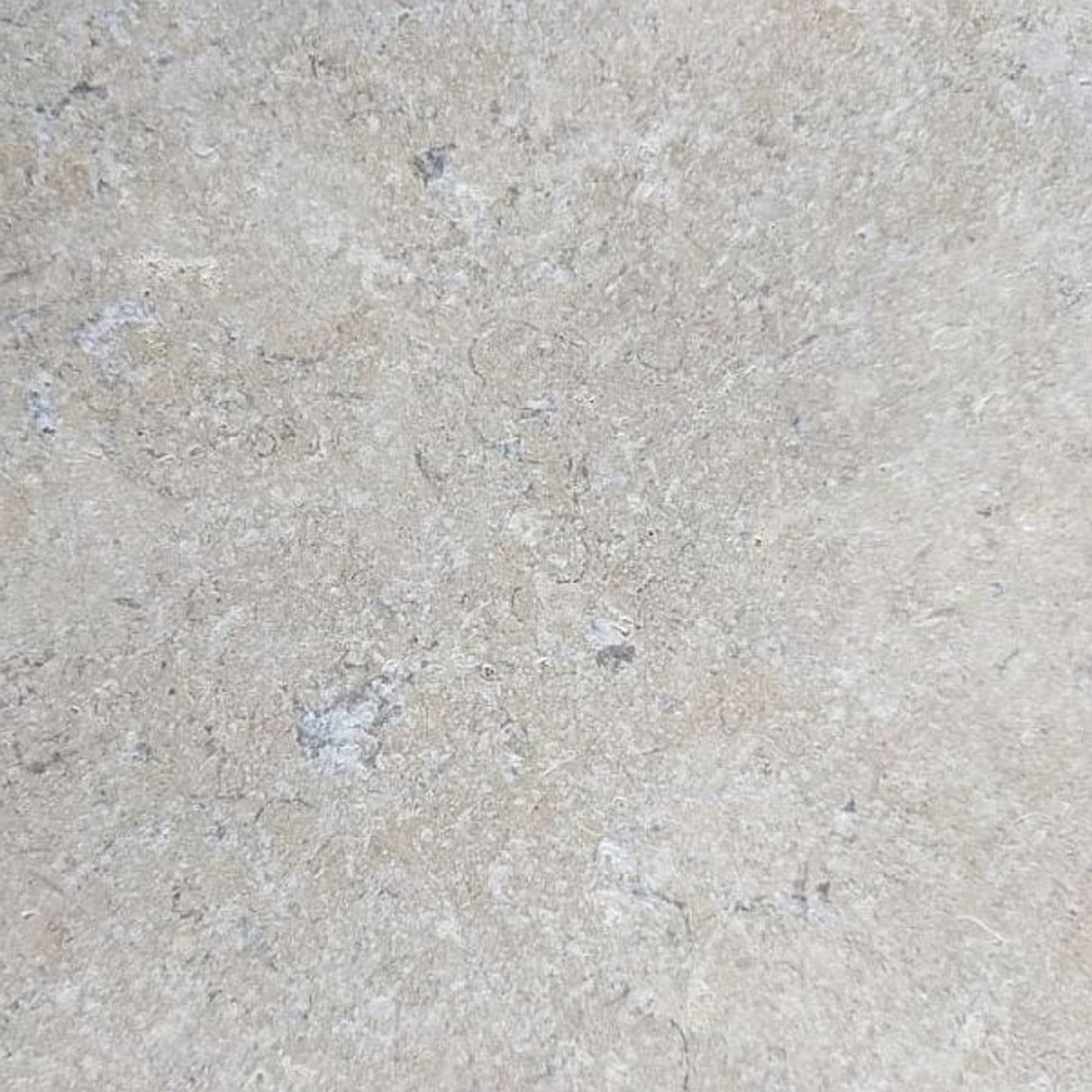 Sinai Pearl Brushed Limestone Pool Coping gallery detail image