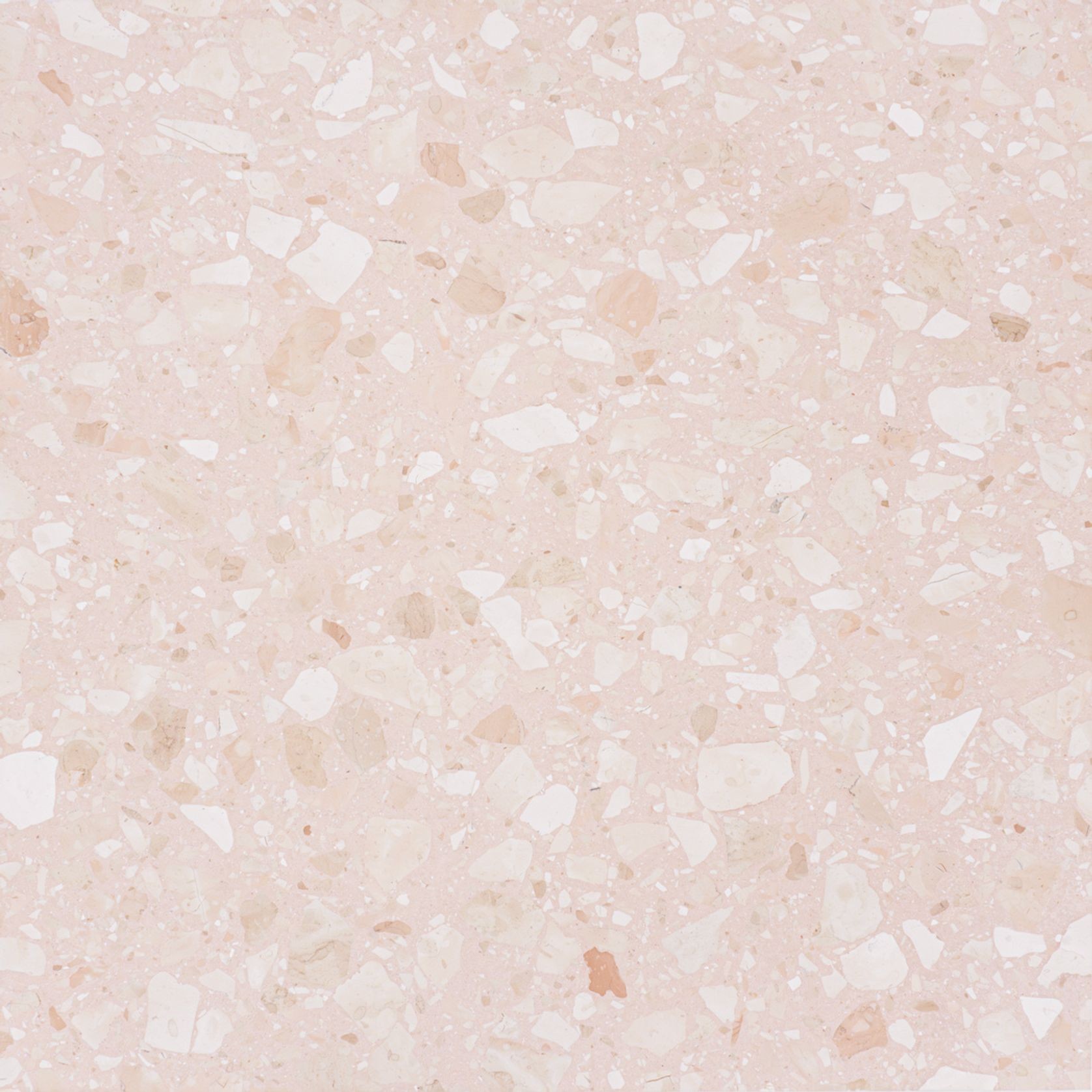 Minerva Rosa gallery detail image