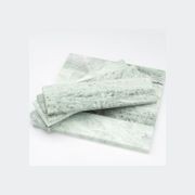 Pelae Moss Subway gallery detail image