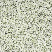 Venice Lime gallery detail image