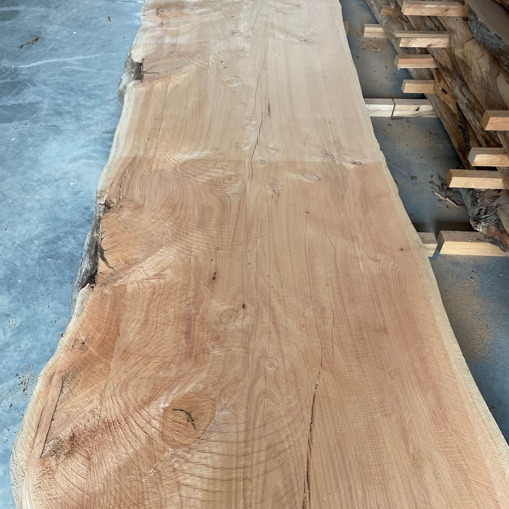 Macrocarpa Slabs gallery detail image