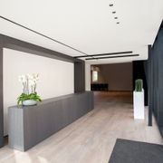 Aplis Downlight gallery detail image